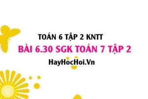 Bài 6.30 SGK Toán 7 tập 2 Kết nối tri thức